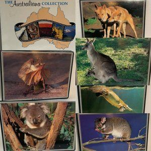 The Australiana Collection boxed Animal placemats Cork backs Set